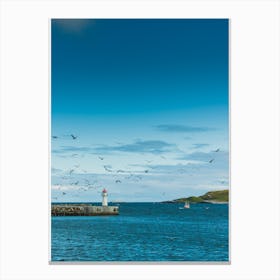 Vardø Harbour Canvas Print