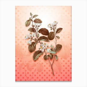 Snowdrop Bush Vintage Botanical in Peach Fuzz Polka Dot Pattern n.0115 Canvas Print