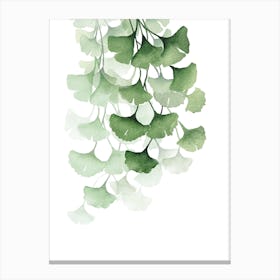 Green Gingko Branch Canvas Print