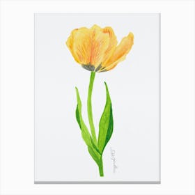 Tulip9 Canvas Print