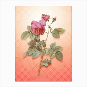 Pink Bourbon Roses Vintage Botanical in Peach Fuzz Tartan Plaid Pattern n.0325 Canvas Print