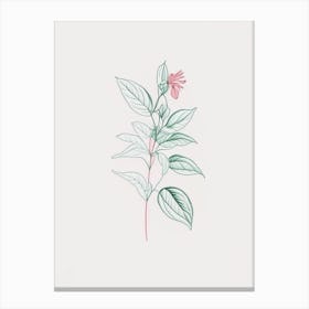 Peppermint Floral Minimal Line Drawing 1 Flower Canvas Print