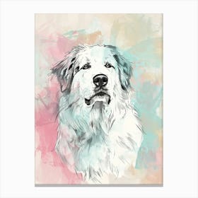 Great Pyrenees Dog Pastel Line Watercolour Illustration  3 Canvas Print