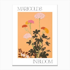 Marigolds In Bloom Flowers Bold Illustration 3 Canvas Print