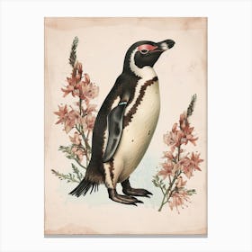 Adlie Penguin Dunedin Taiaroa Head Vintage Botanical Painting 3 Canvas Print