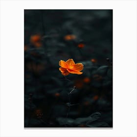 Flower In The Dark 10 Canvas Print