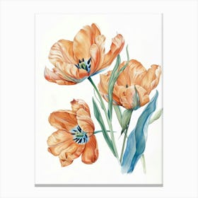 Orange Tulips 3 Canvas Print