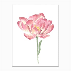 Pink Petals Watercolour Rose Canvas Print