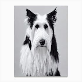 Bearded Collie B&W Pencil dog Canvas Print