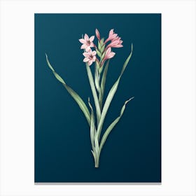 Vintage Sword Lily Botanical Art on Teal Blue 1 Canvas Print