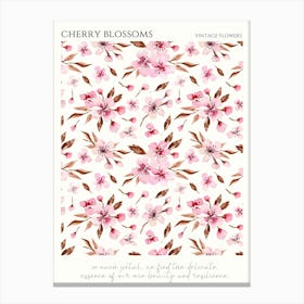 Cherry Blossoms 12 Canvas Print