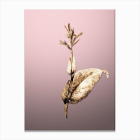 Gold Botanical Indian Shot on Rose Quartz n.0375 Canvas Print