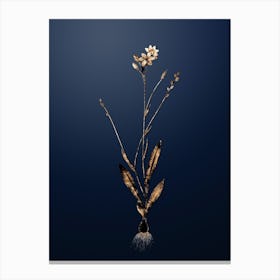 Gold Botanical Gladiolus Junceus on Midnight Navy n.0843 Canvas Print