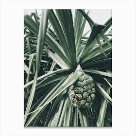 Palm Tree 8 Canvas Print