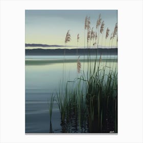 Reeds By The Lake Canvas Print