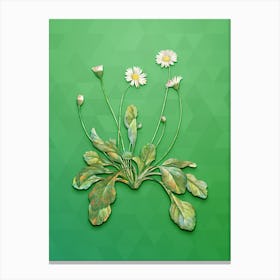 Vintage Daisy Flowers Botanical Art on Classic Green n.0781 Canvas Print
