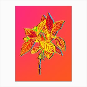 Neon Alpine Honeysuckle Plant Botanical in Hot Pink and Electric Blue n.0367 Canvas Print