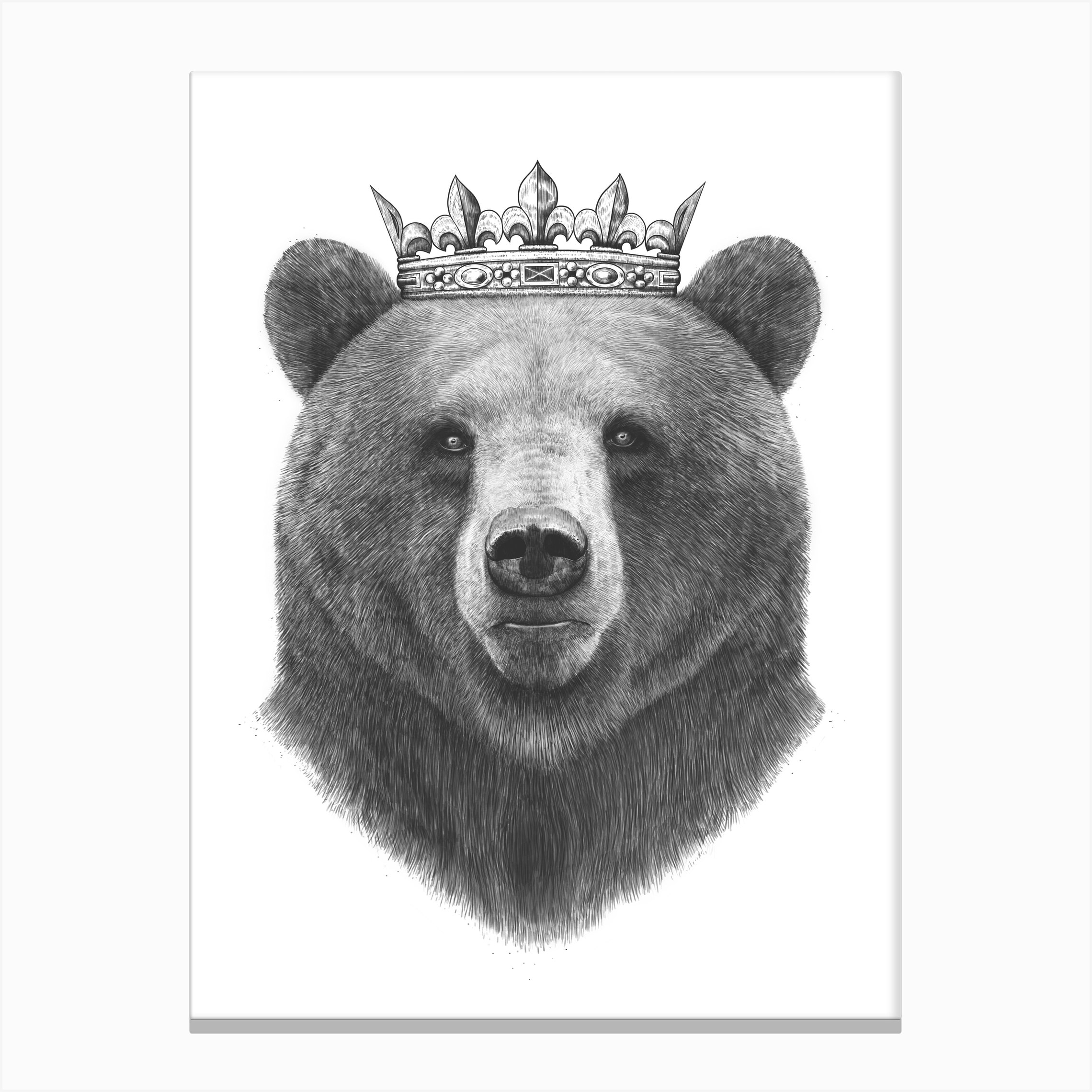 King Bear Canvas Print By Valeriya Korenkova Fy