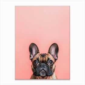 French Bulldog On Pink Background.Generated AI. Art Print 1 Canvas Print