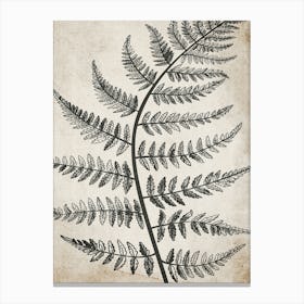 Fern Leaf Botanical 3 Canvas Print