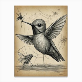 Hummingbird And Spider Canvas Print