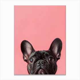 French Bulldog Portrait.Generated AI. Art Print 3 Canvas Print