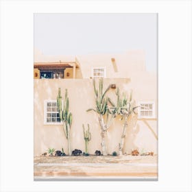 Cactus Home Canvas Print