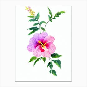 Hibiscus Watercolour Flower Canvas Print