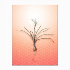 Rain Lily Vintage Botanical in Peach Fuzz Hishi Diamond Pattern n.0109 Canvas Print