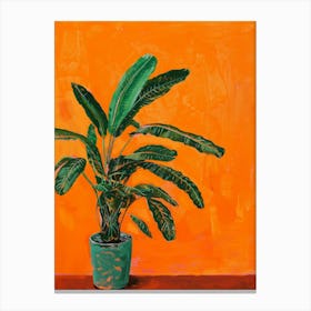 Banana Plant Canvas Print