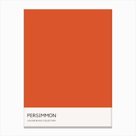 Persimmon Colour Block Poster Canvas Print