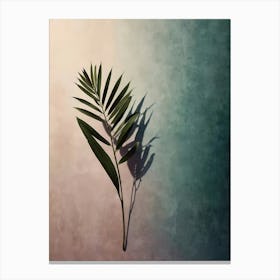 Shadow Of A Palm Leaf Canvas Print