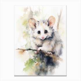 Light Watercolor Painting Of A Playful Possum 1 Canvas Print