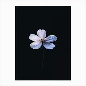 Single Flower On A Black Background 7 Canvas Print