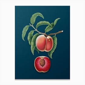 Vintage Carrot Peach Botanical Art on Teal Blue n.0132 Canvas Print