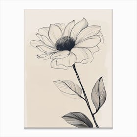 Line Art Sunflower Flowers Illustration Neutral 4 Canvas Print