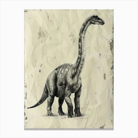 Brontosaurus Dinosaur Black Ink Illustration 2 Canvas Print