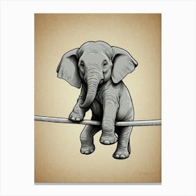 Elephant On A Tightrope 1 Canvas Print