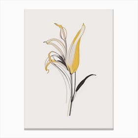Lilium Floral Minimal Line Drawing 4 Flower Canvas Print