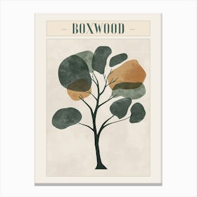 Boxwood Tree Minimal Japandi Illustration 3 Poster Canvas Print