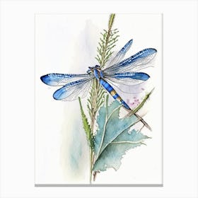 Blue Dasher Dragonfly Watercolour Ink Pencil 1 Canvas Print