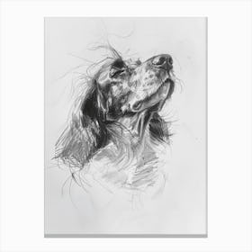 Irish Setter Dog Charcoal Line 1 Canvas Print