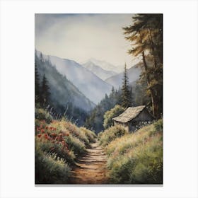 Path In The Mountains Canvas Print