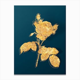 Vintage Pink Cabbage Rose Botanical in Gold on Teal Blue n.0153 Canvas Print
