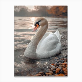 Swan In The Park 3 Canvas Print