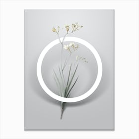 Vintage Freesia Minimalist Flower Geometric Circle on Soft Gray n.0135 Canvas Print