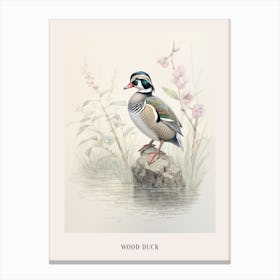 Vintage Bird Drawing Wood Duck 2 Poster Canvas Print