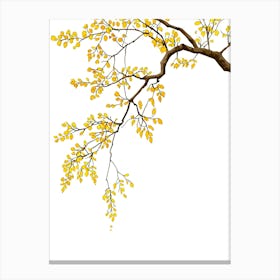 Autumn Tree Branch Isolated On White Canvas Print