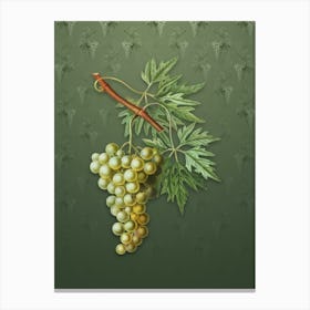 Vintage Grape Vine Botanical on Lunar Green Pattern n.1936 Canvas Print