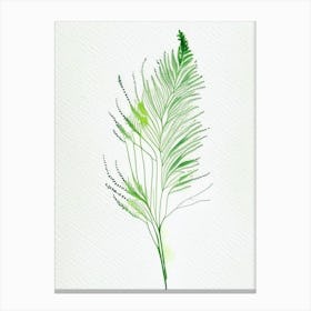 Dill Leaf Minimalist Watercolour Canvas Print